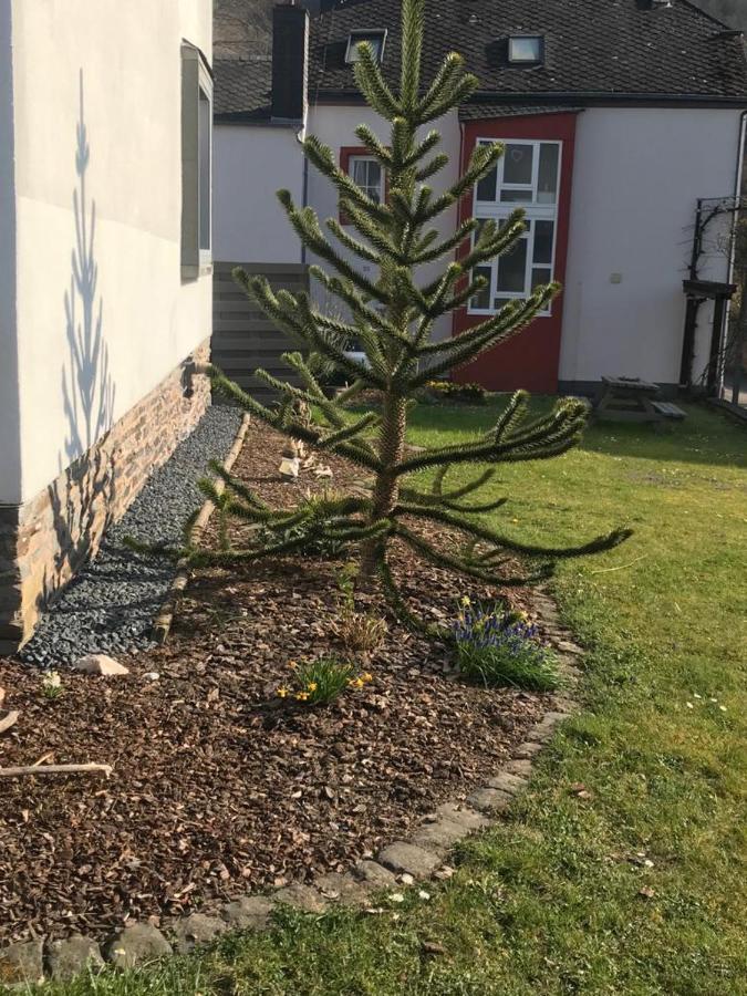 Ferienwohnung Sonnen - Terrasse Bernkastel-Kues Eksteriør bilde